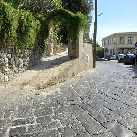 Garden * Procida