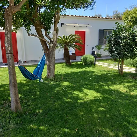 Garden *